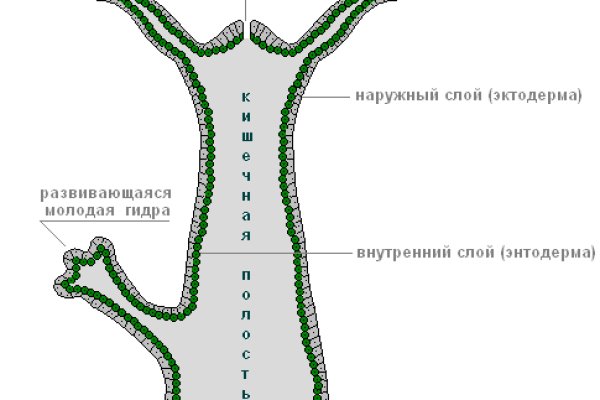 Кракен сайт даркнет ссылка